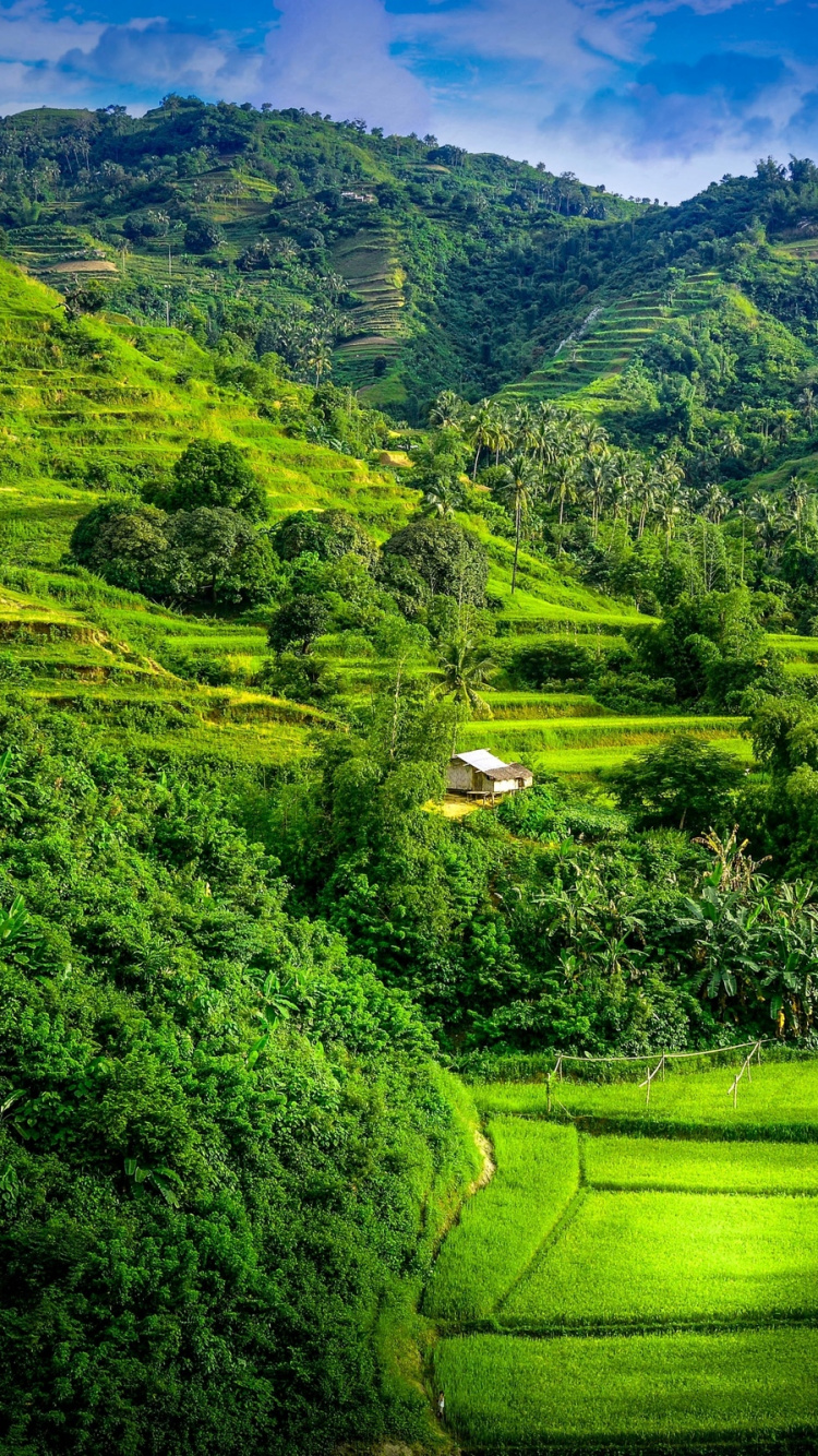 Обои пейзаж, природа, растительность, нагорье, горная станция в разрешении 750x1334