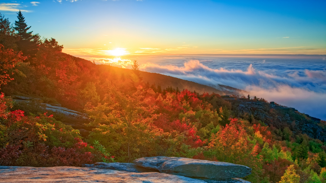 Обои природа, природный ландшафт, утро, восход солнца, лист в разрешении 1280x720