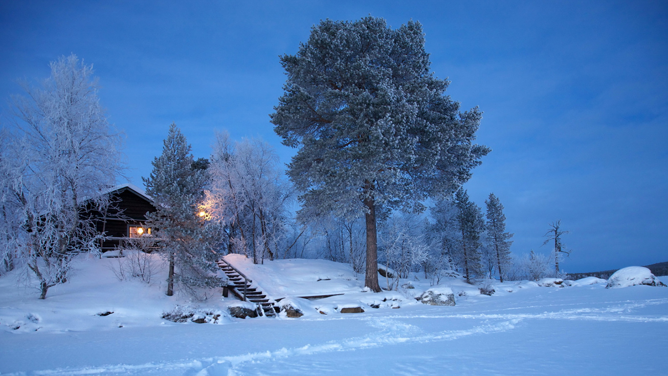 Обои зима, снег, дерево, замораживание, мороз в разрешении 1366x768