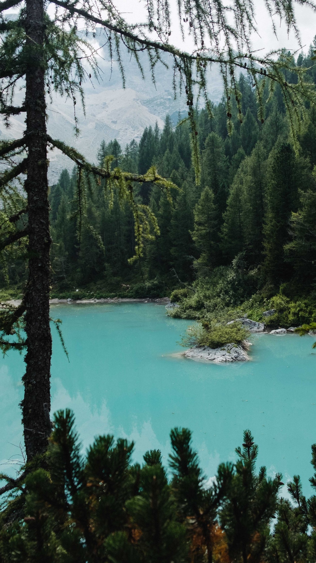 Обои водоем, озеро, елово пихтовые леса, старовозрастные леса, окружающая среда в разрешении 1080x1920