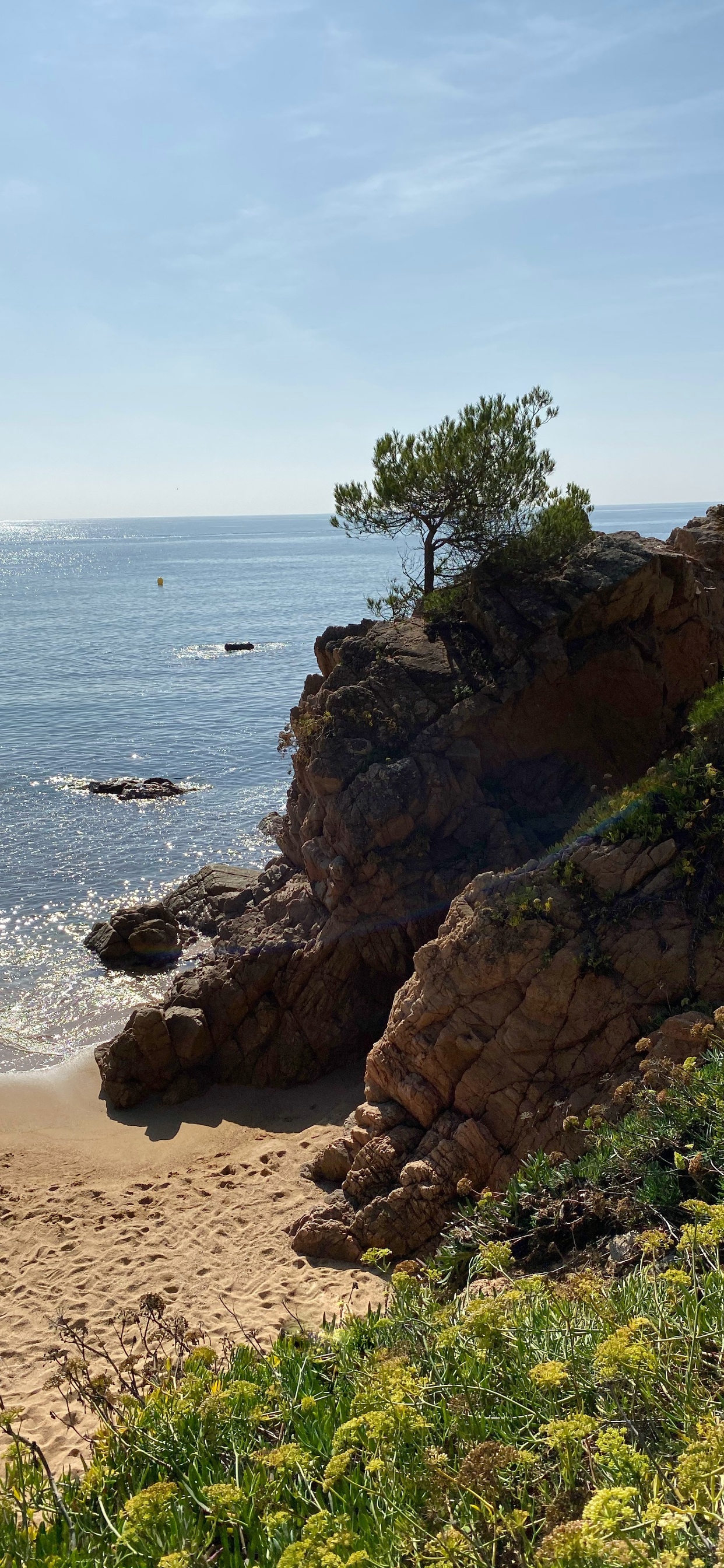 Обои побережье, море, мыс, растительность, растительное сообщество в разрешении 1242x2688