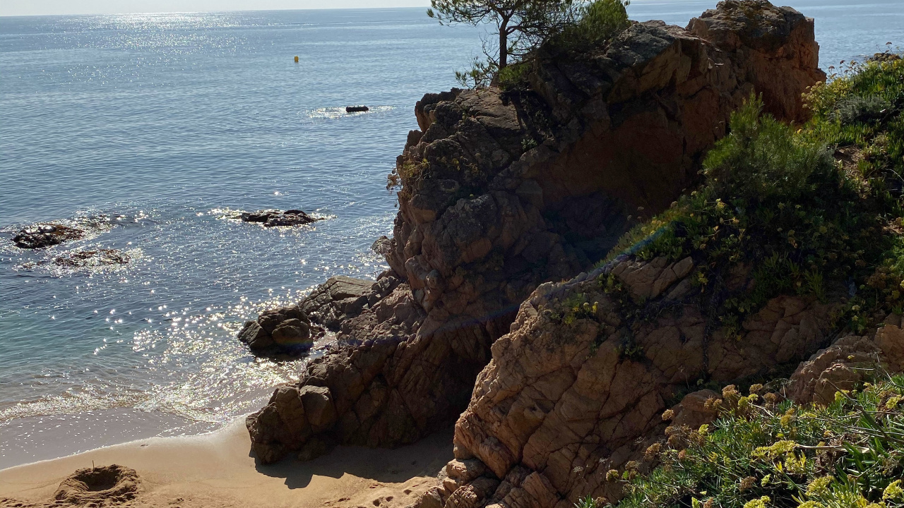 Обои побережье, море, мыс, растительность, растительное сообщество в разрешении 1280x720