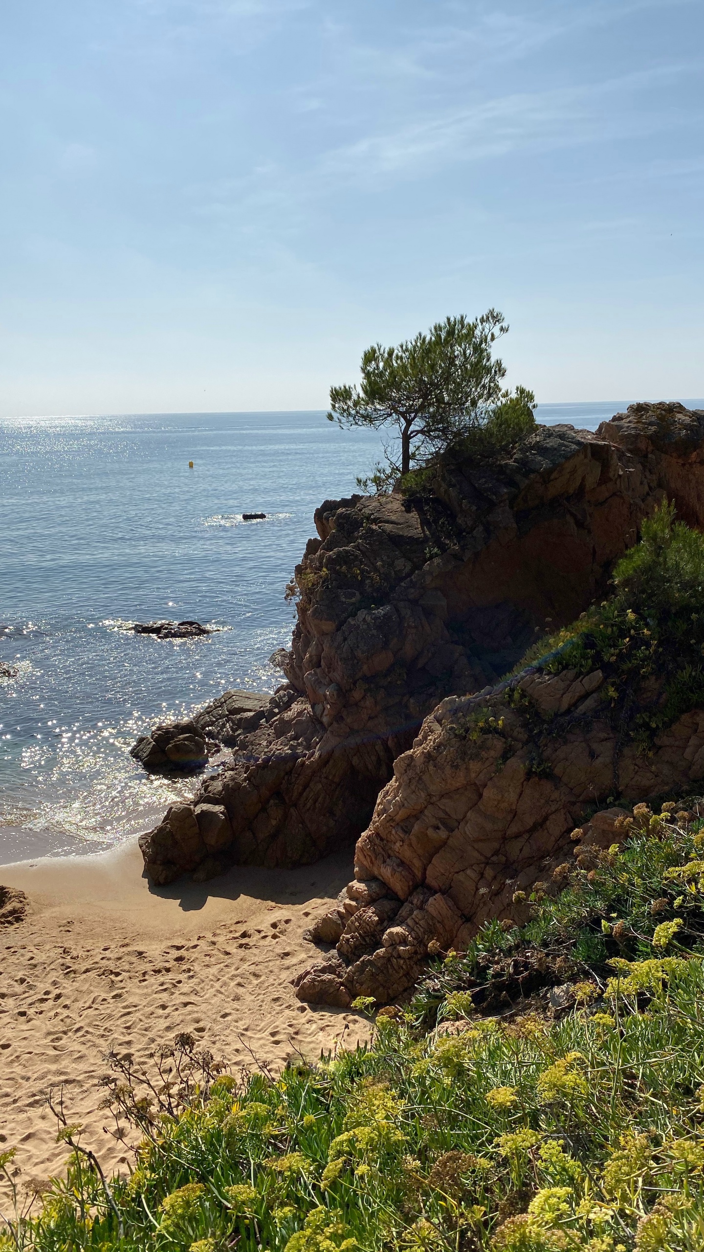 Обои побережье, море, мыс, растительность, растительное сообщество в разрешении 1440x2560