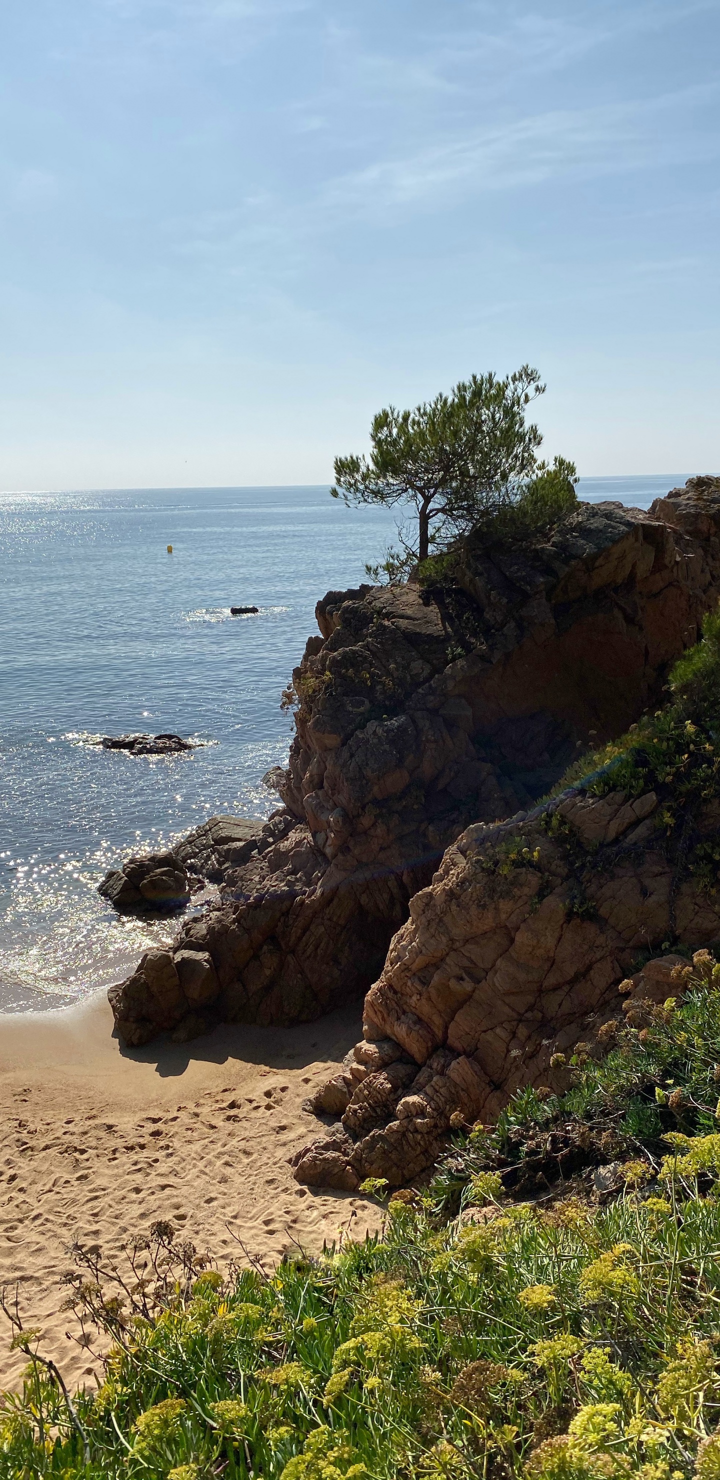 Обои побережье, море, мыс, растительность, растительное сообщество в разрешении 1440x2960