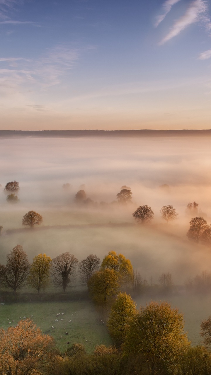 Обои Гластонбери Тор, природа, природный ландшафт, утро, туман в разрешении 720x1280