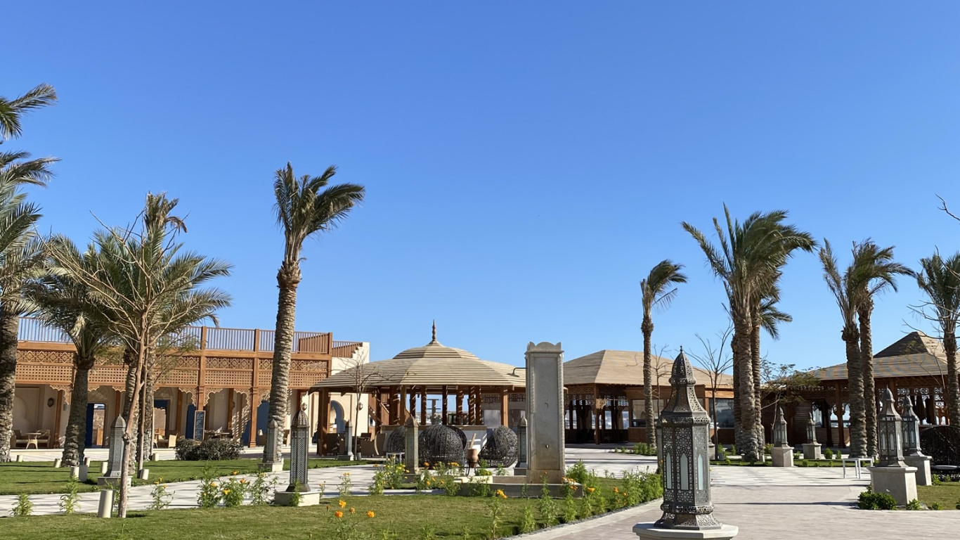 Обои пальмовые рощи, растение, здание, лазурный, дерево в разрешении 1366x768