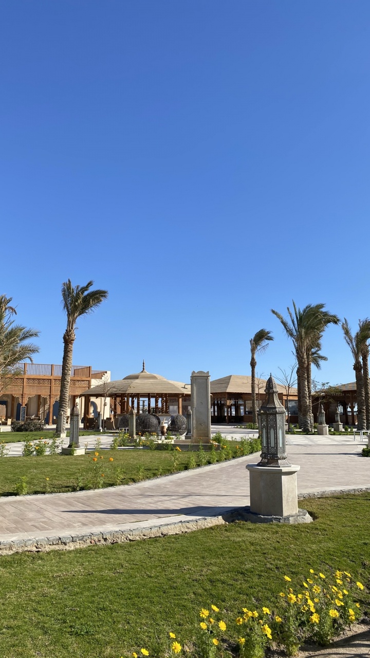 Обои пальмовые рощи, растение, здание, лазурный, дерево в разрешении 720x1280