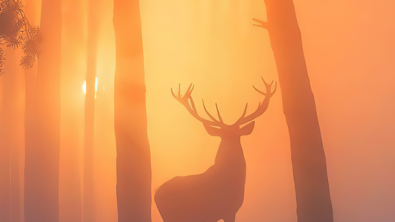 Обои восход солнца, атмосфера, лось, растение, снег в разрешении 1280x720