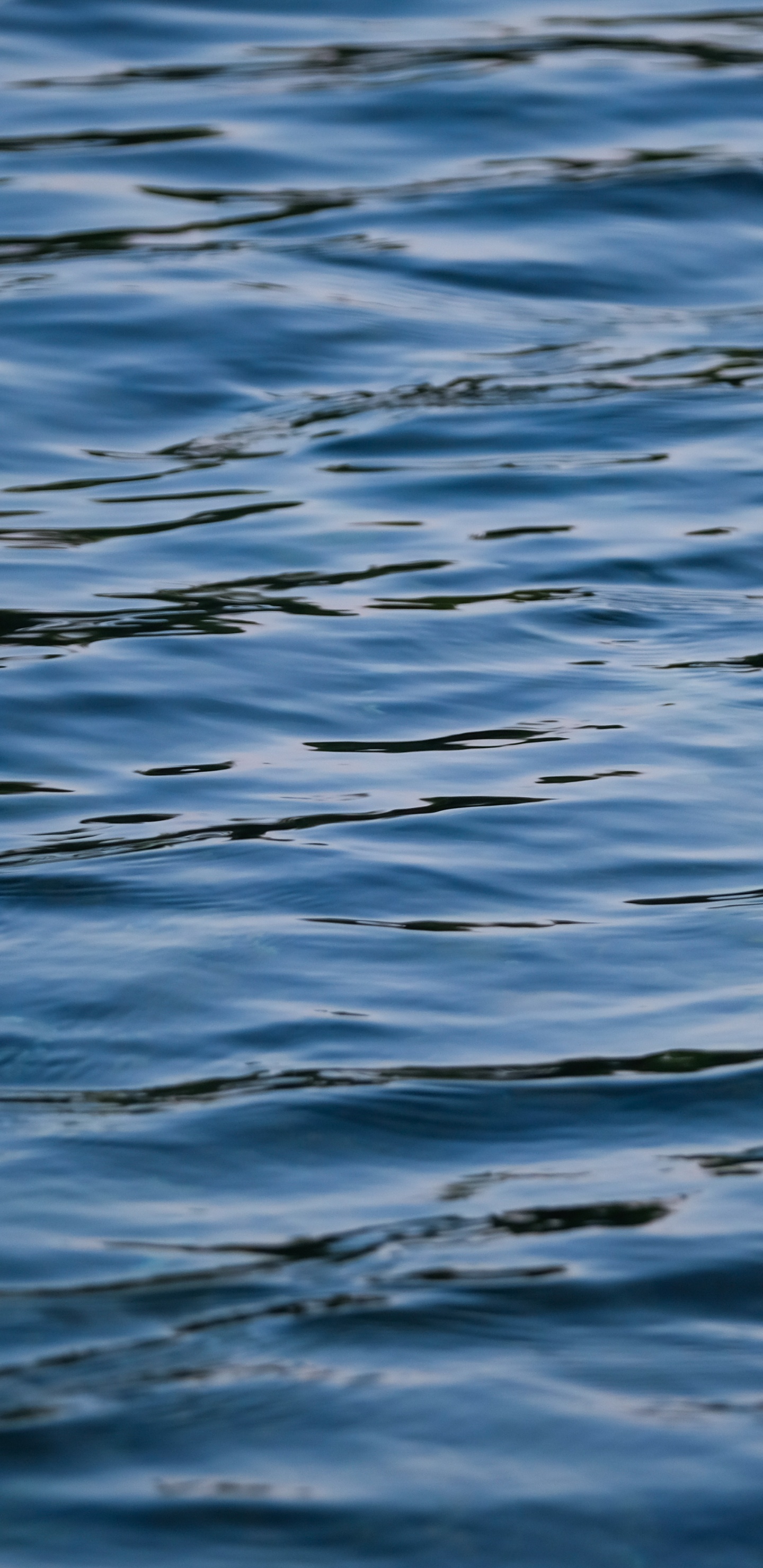 Обои отражение, океан, озеро, ветровая волна, вода в разрешении 1440x2960