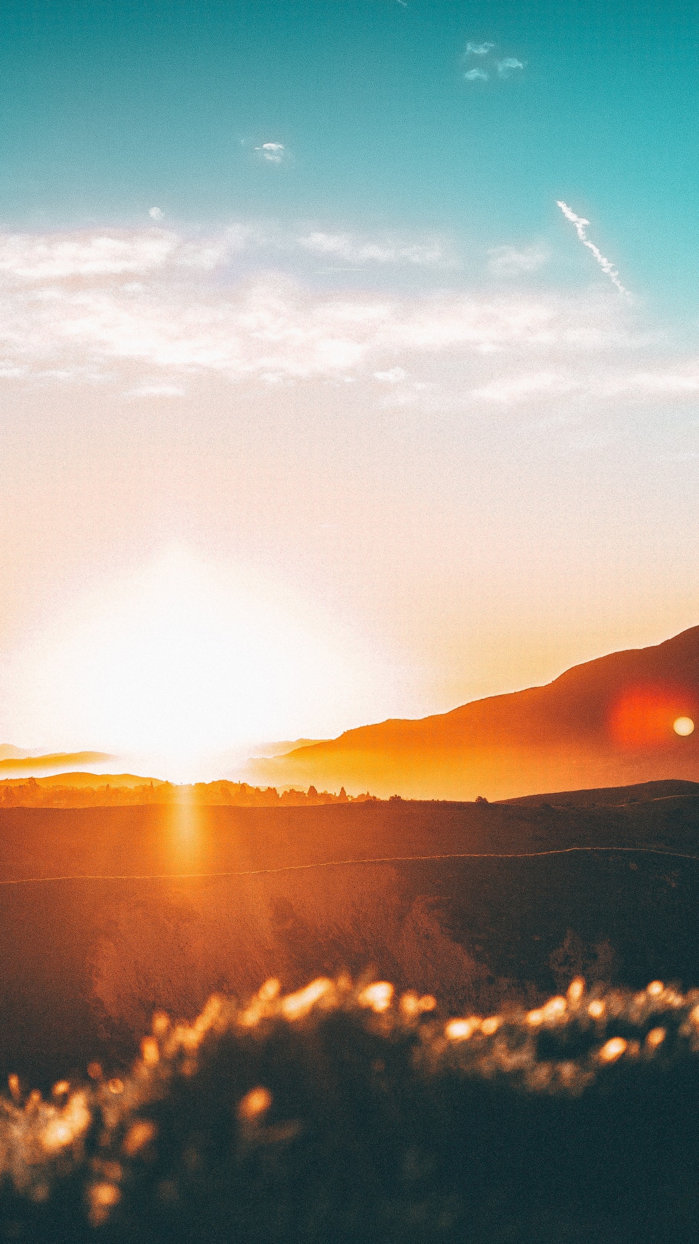 Обои свободный закат, закат, восход солнца, облако, атмосфера в разрешении 1440x2560