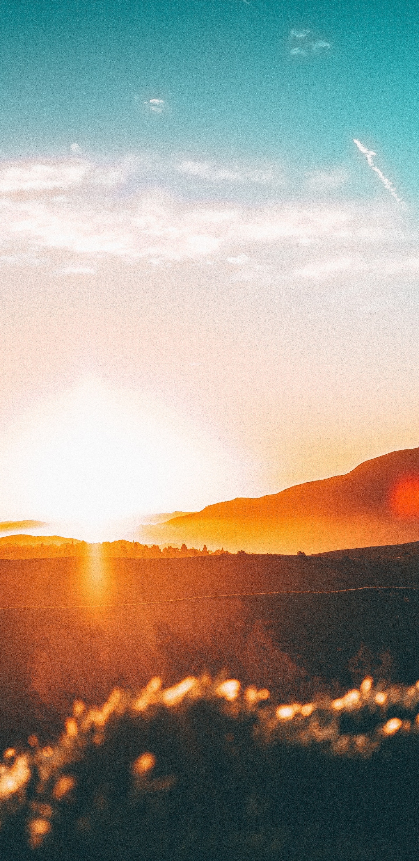 Обои свободный закат, закат, восход солнца, облако, атмосфера в разрешении 1440x2960