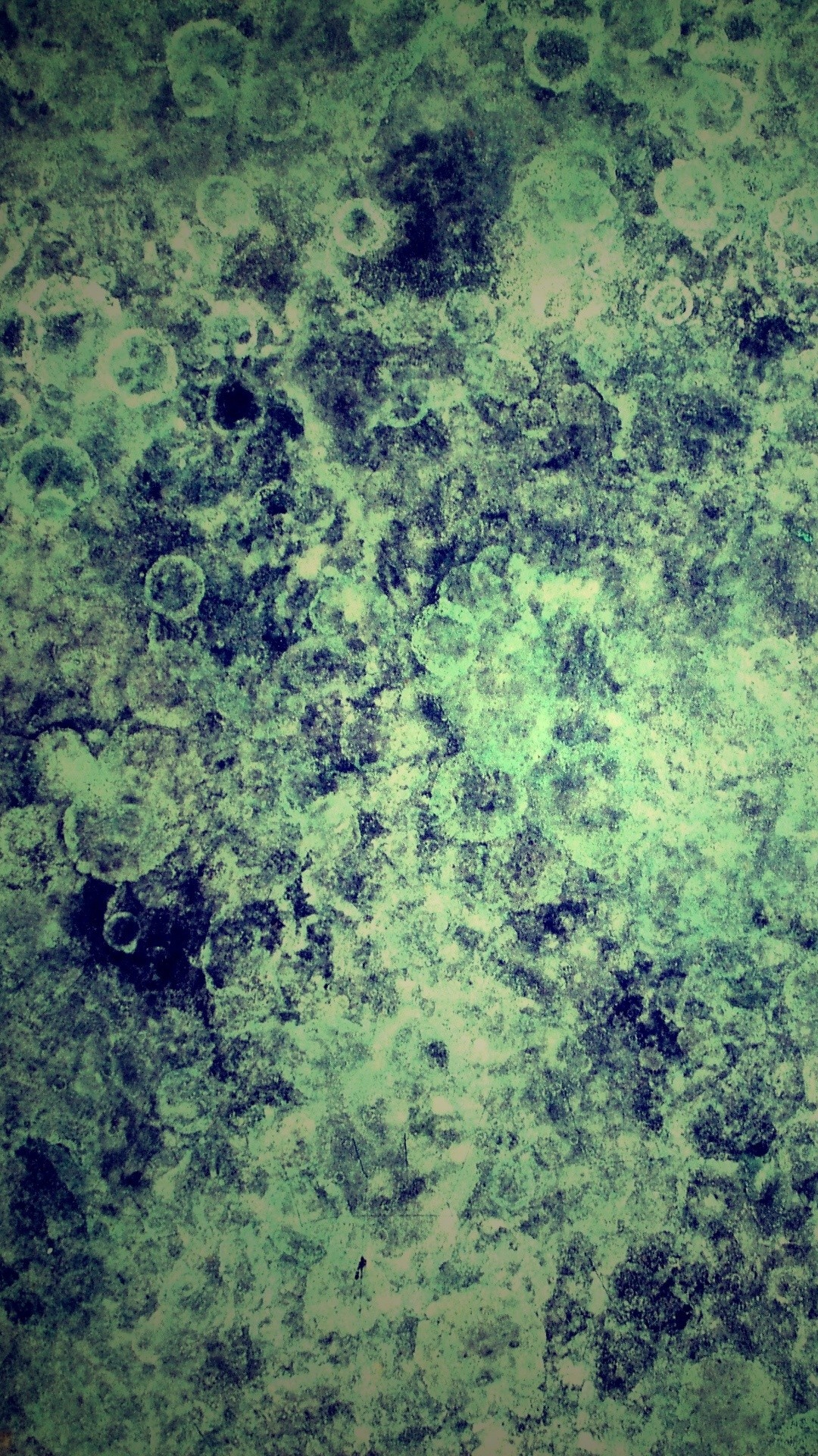 Обои растительность, мрамор, зеленый, вода, лист в разрешении 1080x1920