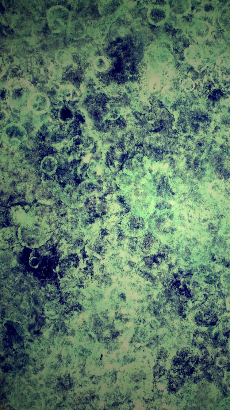 Обои растительность, мрамор, зеленый, вода, лист в разрешении 750x1334