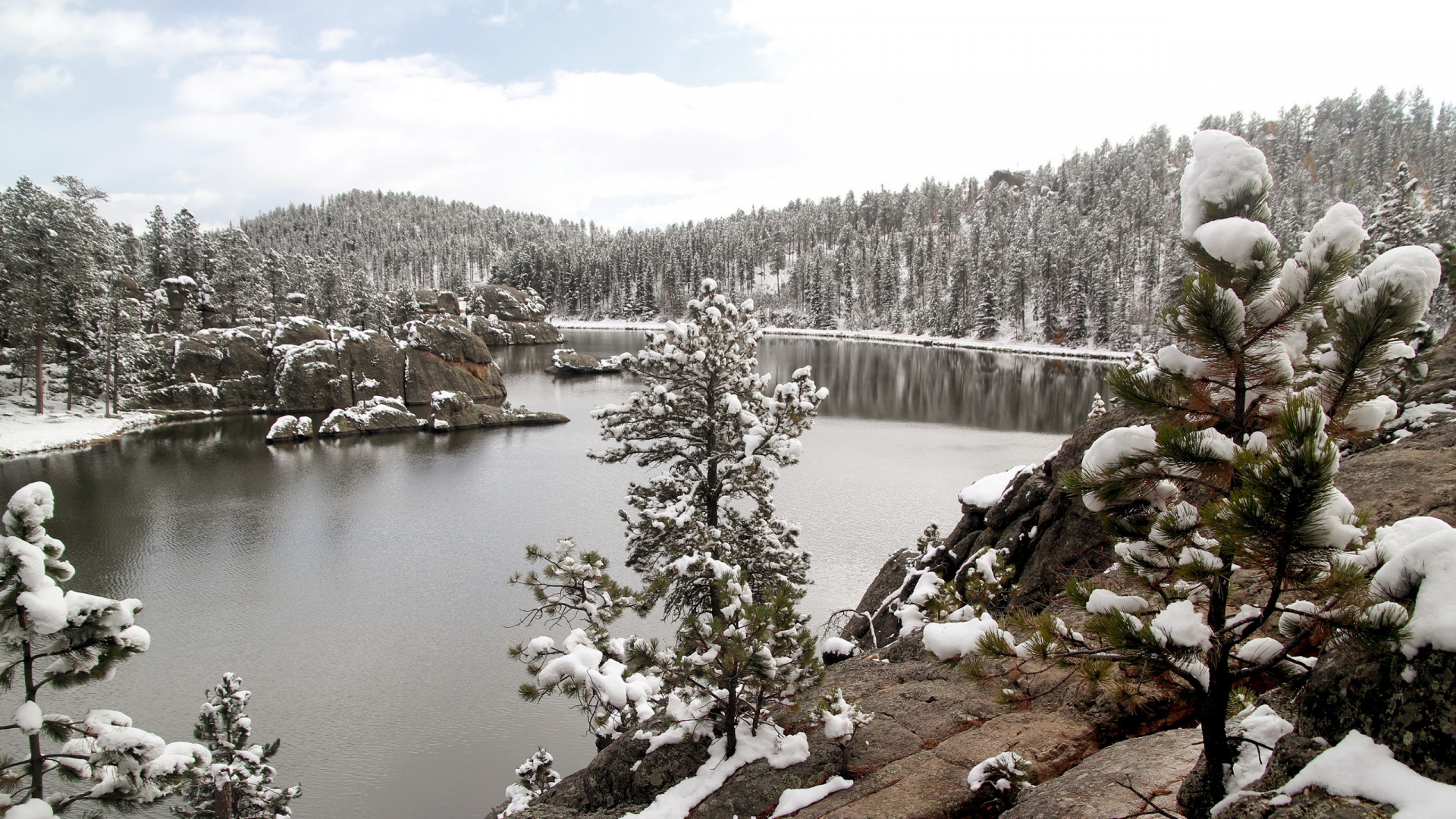 Обои снег, дикая местность, зима, озеро, дерево в разрешении 1920x1080