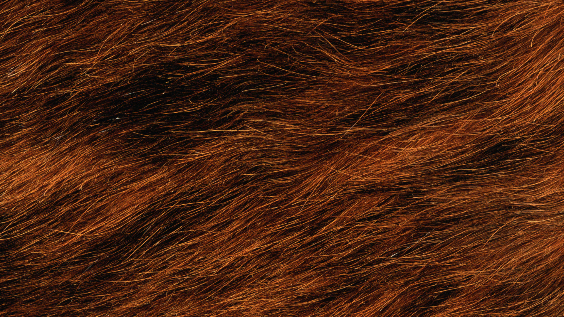 Обои мех, коричневый цвет, древесина, дизайн, марка в разрешении 1920x1080