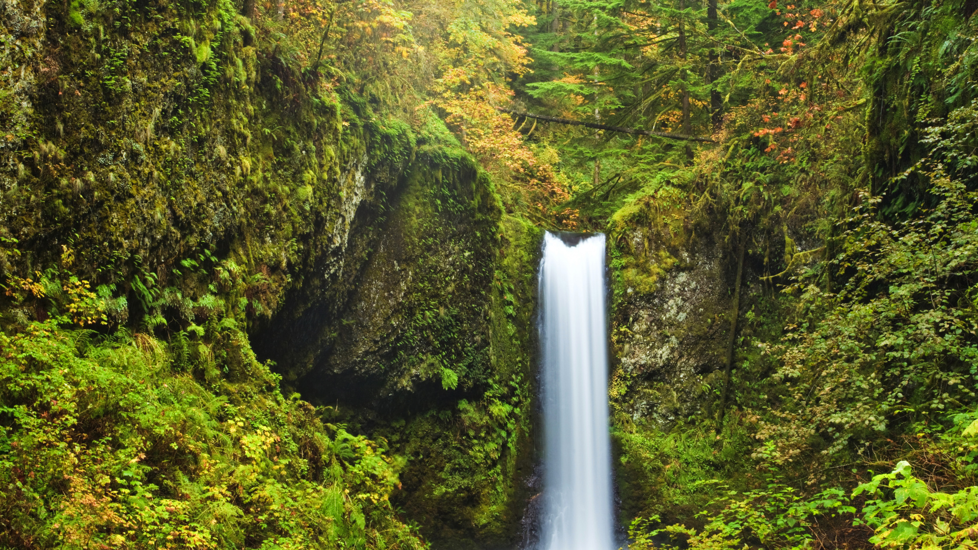 Обои Малтнома-Фолс, водопад, Wahkeena Падает, природа, водоем в разрешении 1920x1080