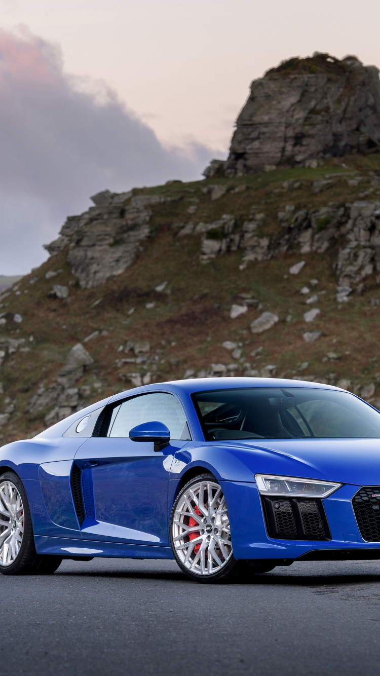 Обои долина камней, авто, audi, задний привод, спорткар в разрешении 750x1334