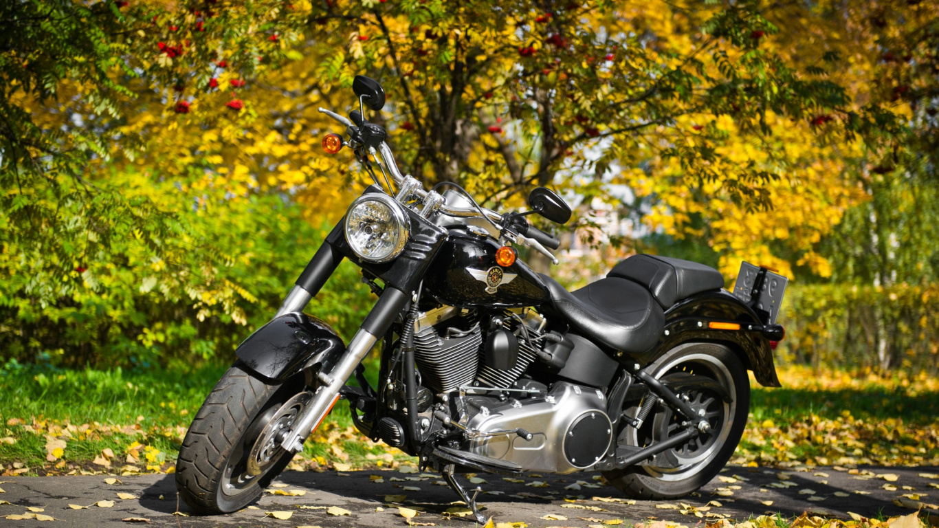 Обои мотоцикл, велосипед, крейсер, Чоппер, поплавок в разрешении 1366x768