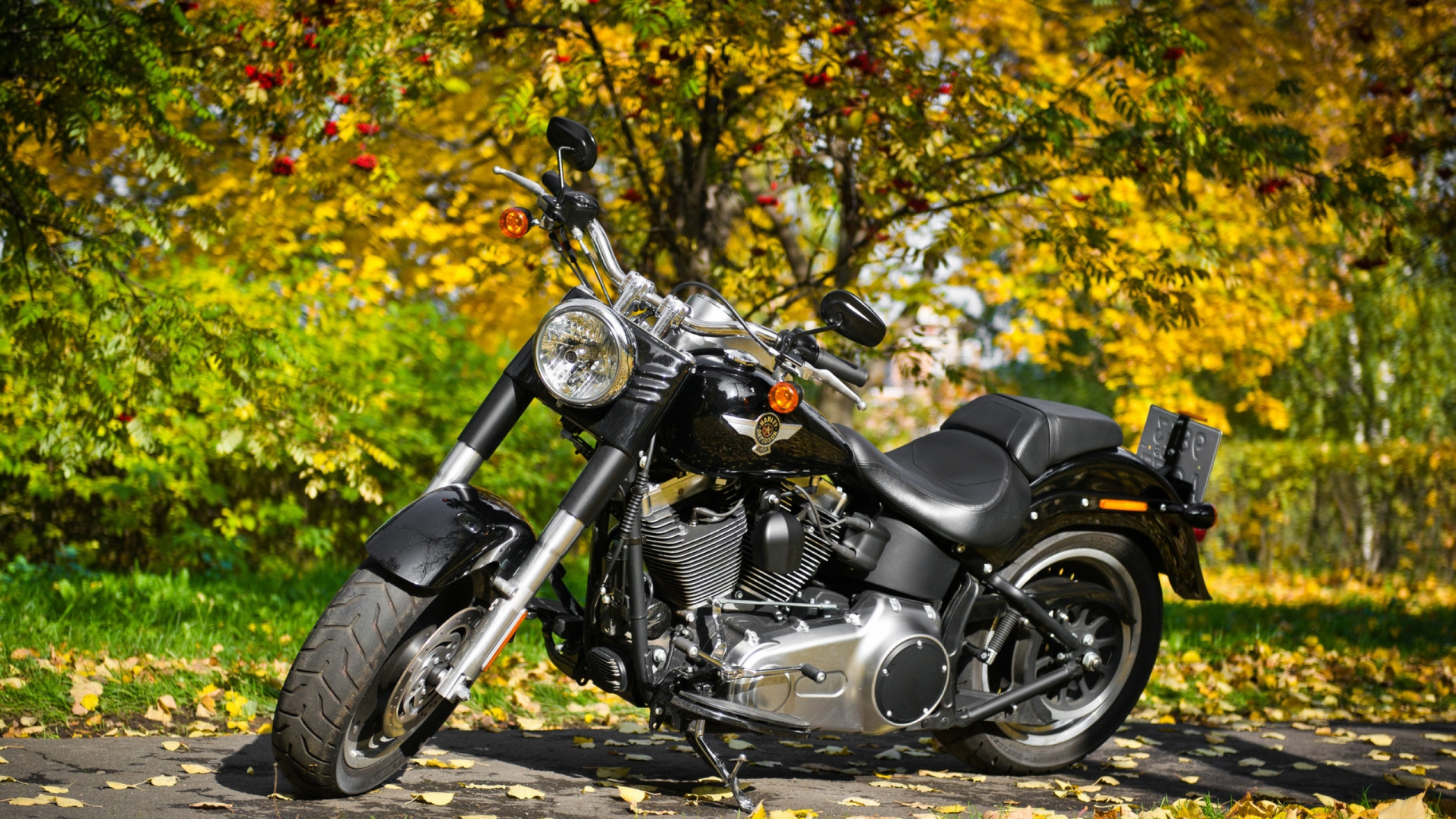 Обои мотоцикл, велосипед, крейсер, Чоппер, поплавок в разрешении 1920x1080