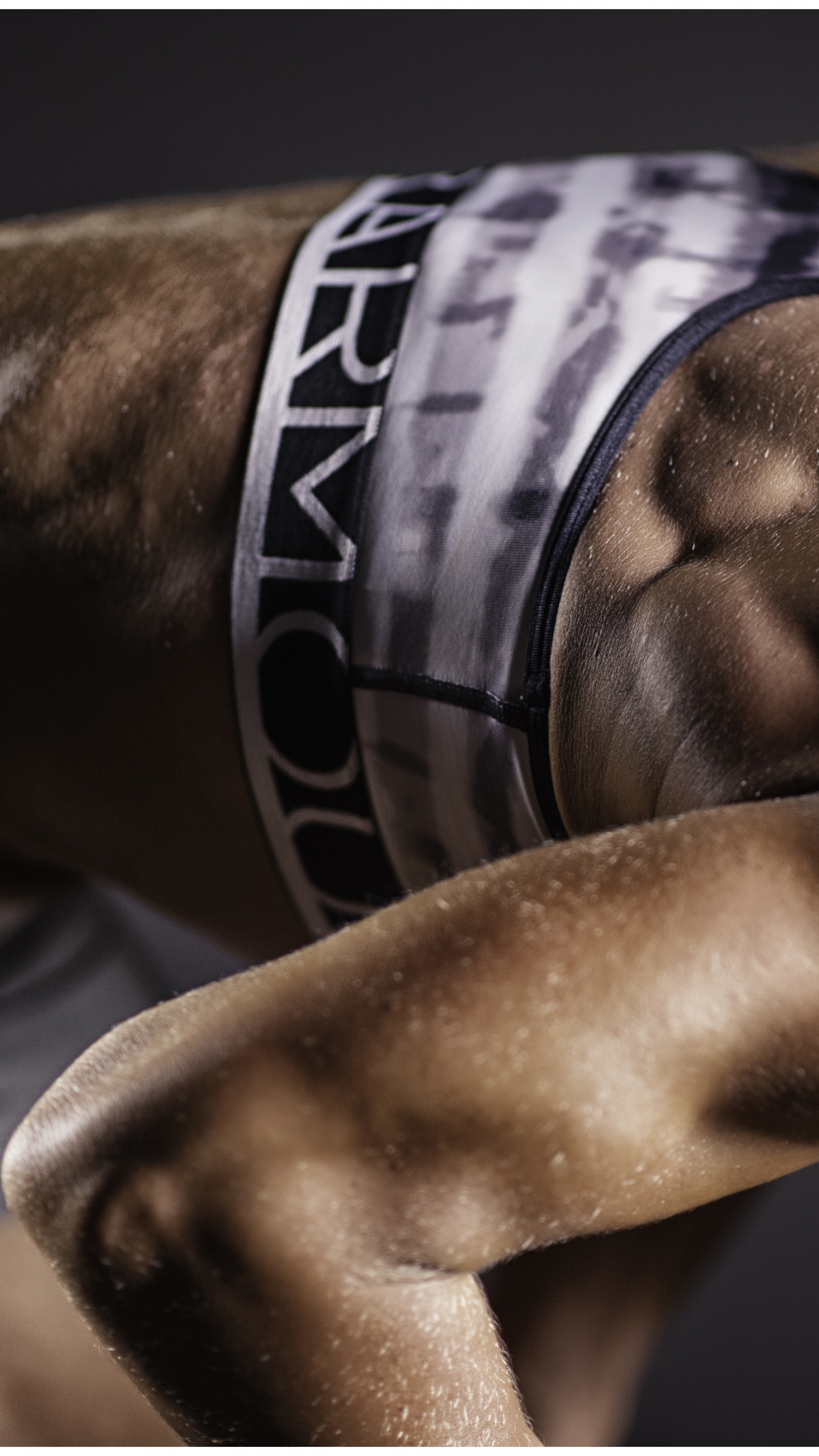 Обои мышца, физическая подготовка, Бодибилдинг, плечо, рука в разрешении 1440x2560