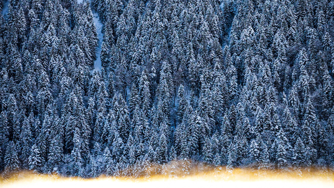 Обои замораживание, Безвозмездно, лазурный, прямоугольник, ткань в разрешении 1366x768