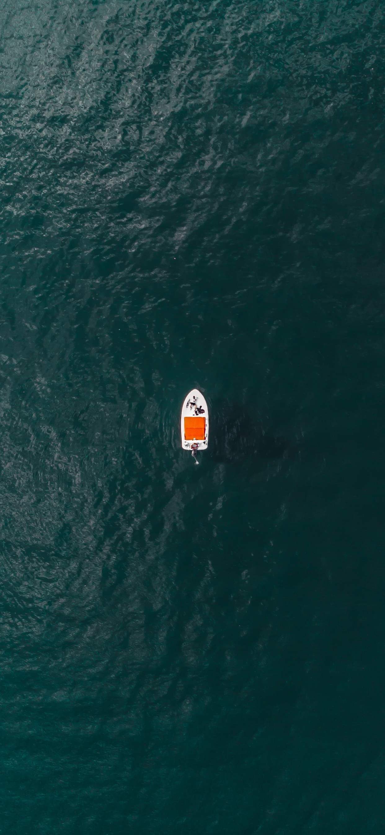 Обои ветровая волна, жизнь, море, волна, вода в разрешении 1242x2688