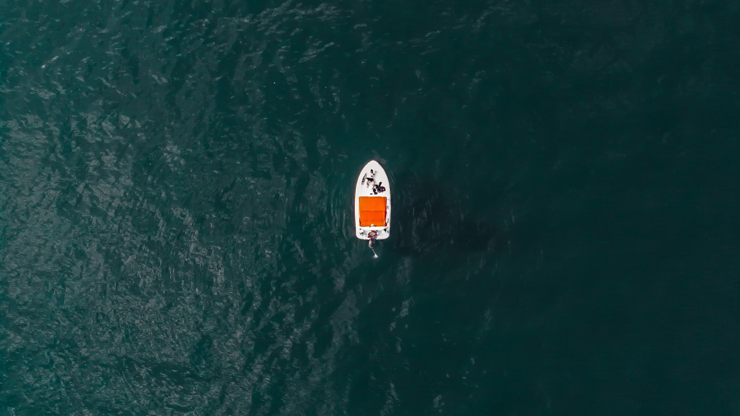 Обои ветровая волна, жизнь, море, волна, вода в разрешении 2560x1440