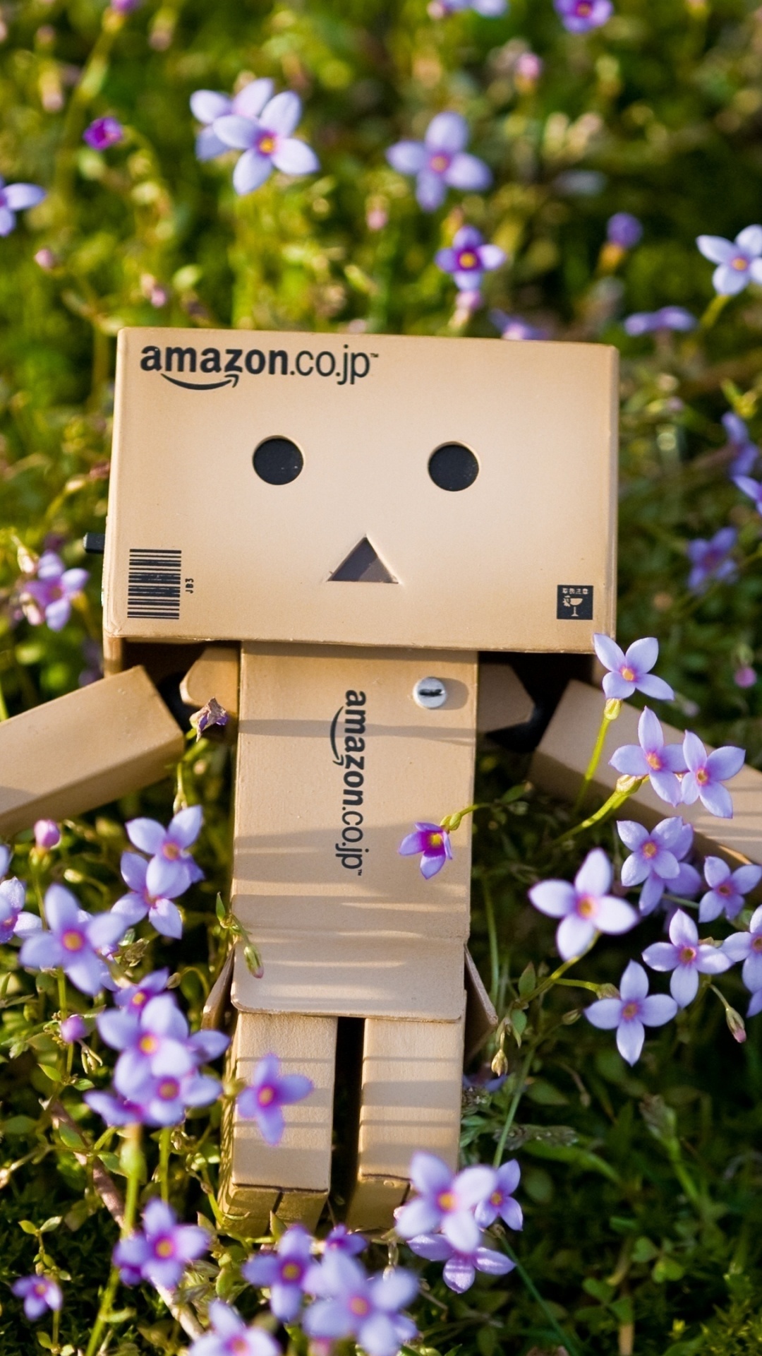 Обои весна, пурпур, растение, полевой цветок, цветковое растение в разрешении 1080x1920