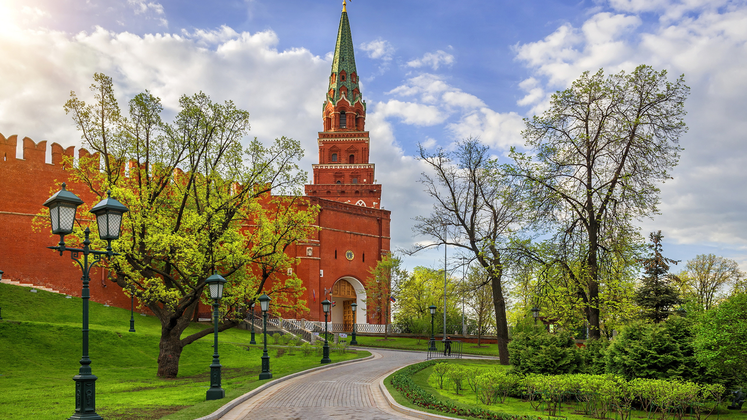 Обои дерево, церковь, здание, шпиль, небо в разрешении 2560x1440