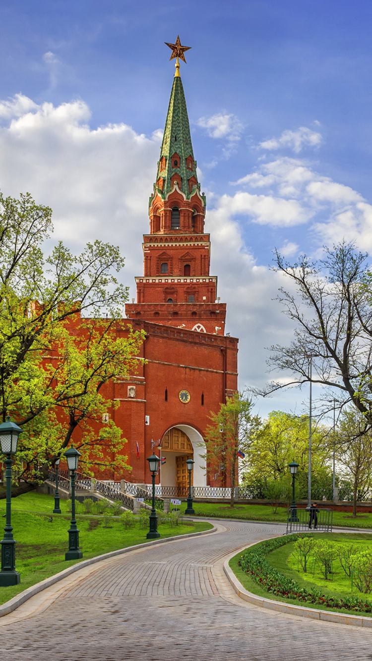 Обои дерево, церковь, здание, шпиль, небо в разрешении 750x1334