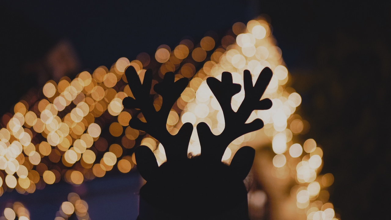 Обои боке, рука, смартфон, дерево, крупный план в разрешении 1280x720