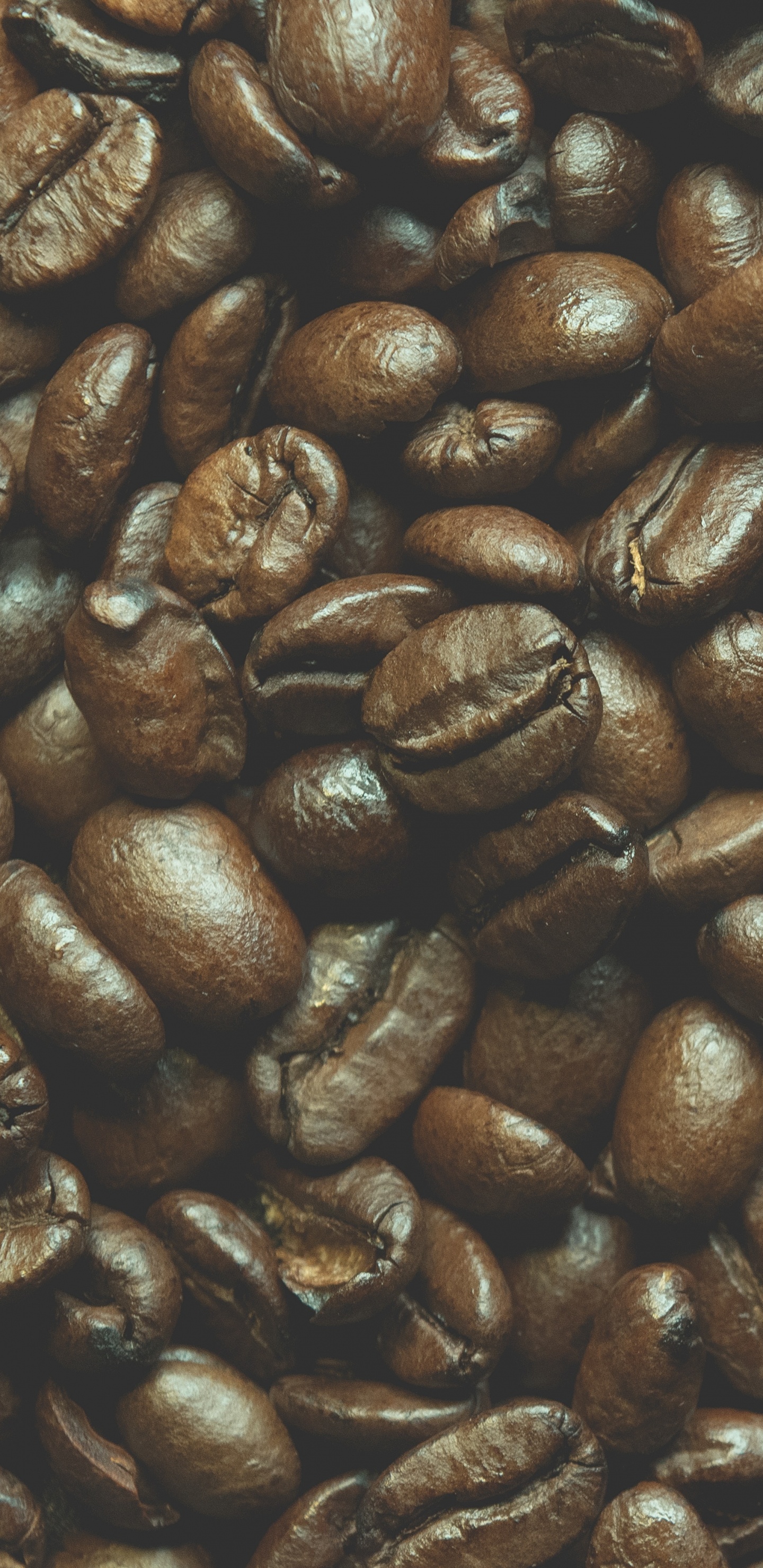 Обои кофейное зерно, кофе, арабский кофе, кофеин, Мешок кофе в разрешении 1440x2960