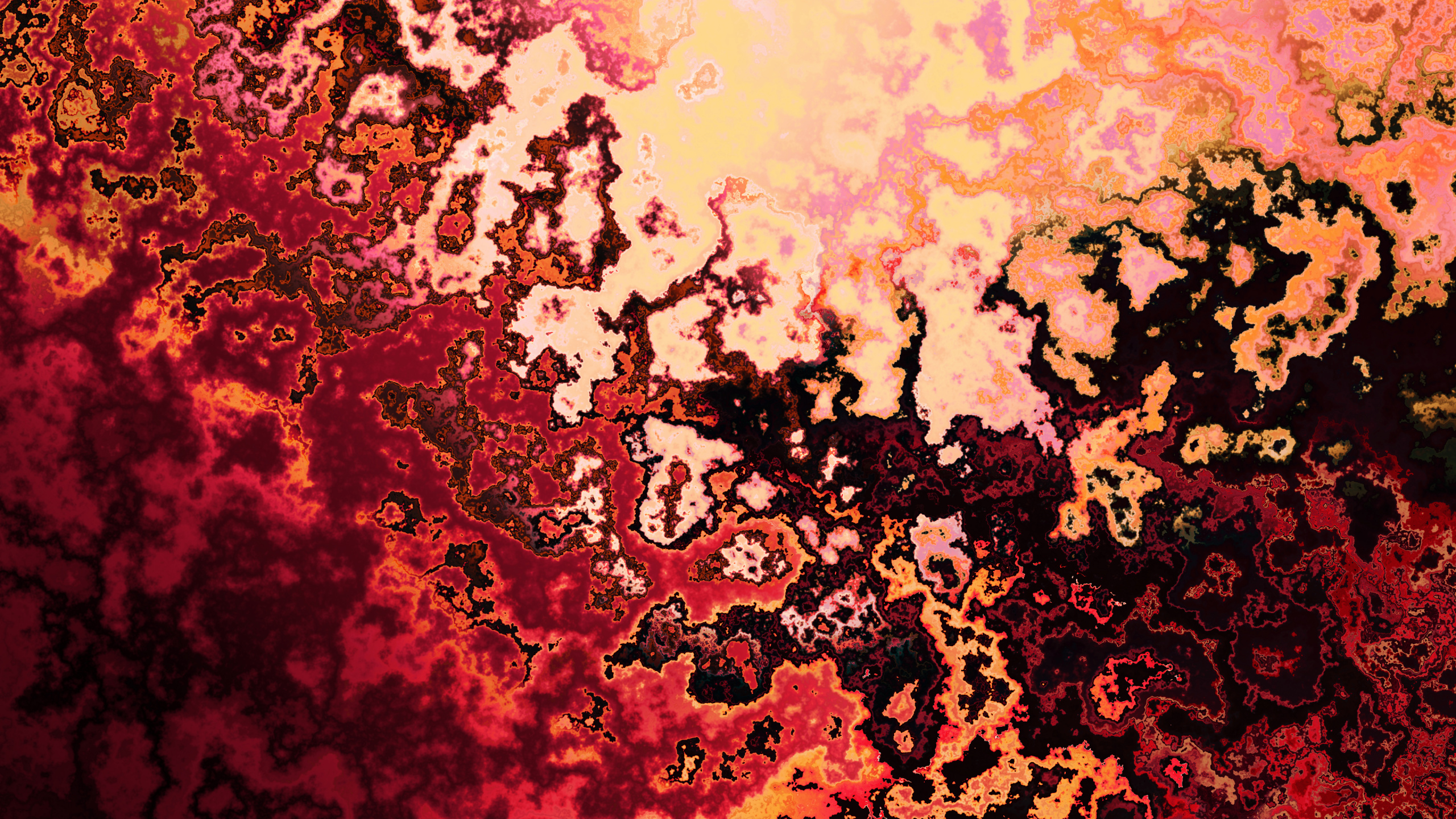 Обои лист, наука, красочность, арт, материальное свойство в разрешении 2560x1440