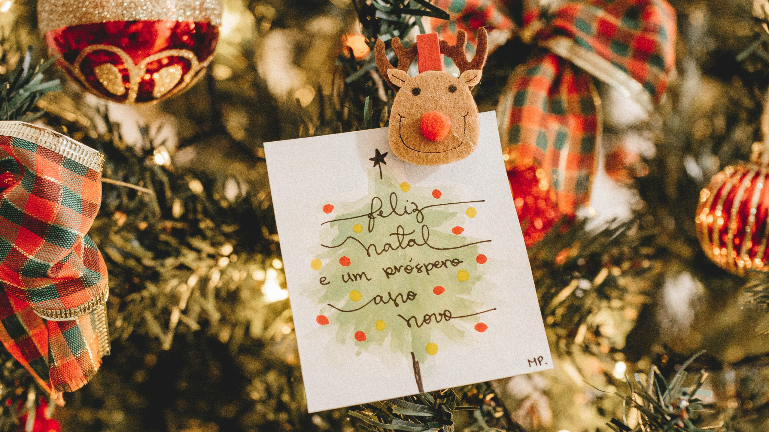 Обои Рождественский день, рождественский орнамент, елка, Рождество, праздничный орнамент в разрешении 2560x1440