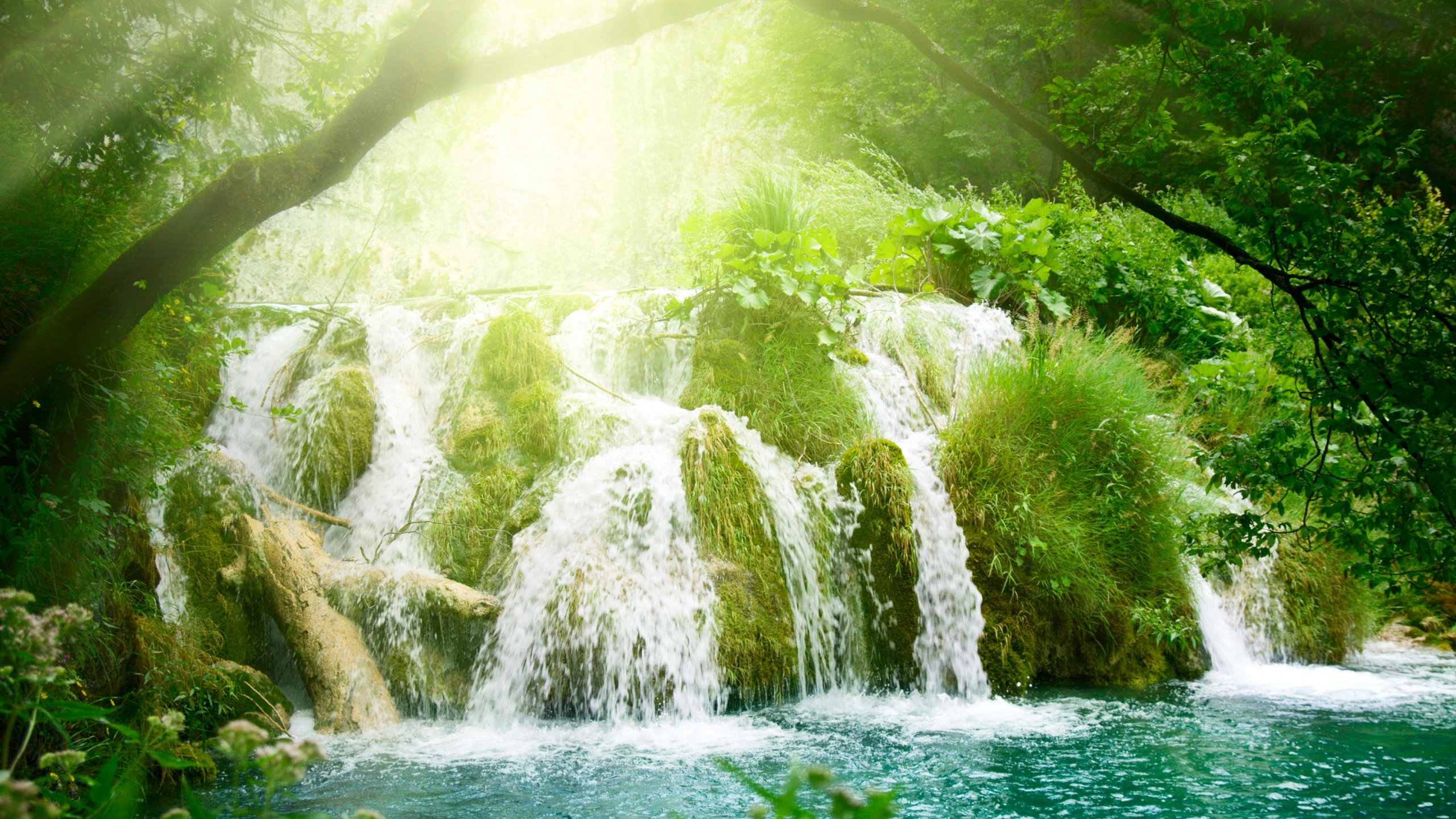 Обои водопад, природа, гидроресурсы, водоем, растительность в разрешении 2560x1440