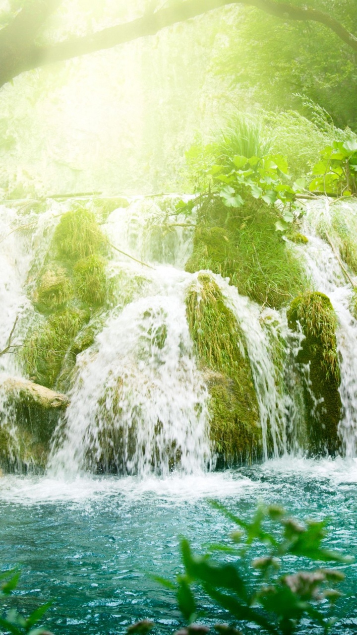 Обои водопад, природа, гидроресурсы, водоем, растительность в разрешении 720x1280