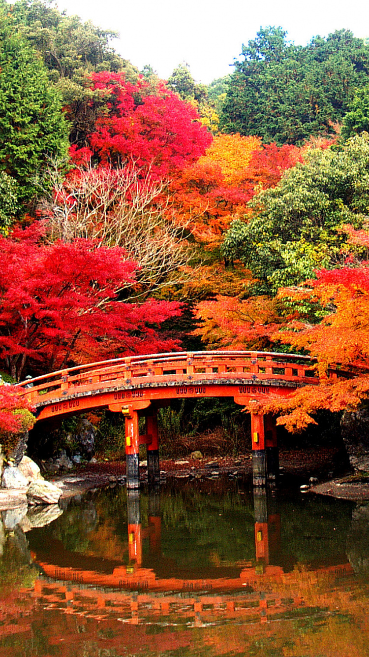 Обои Дайго-дзи, храм, буддийский храм, природа, дерево в разрешении 750x1334