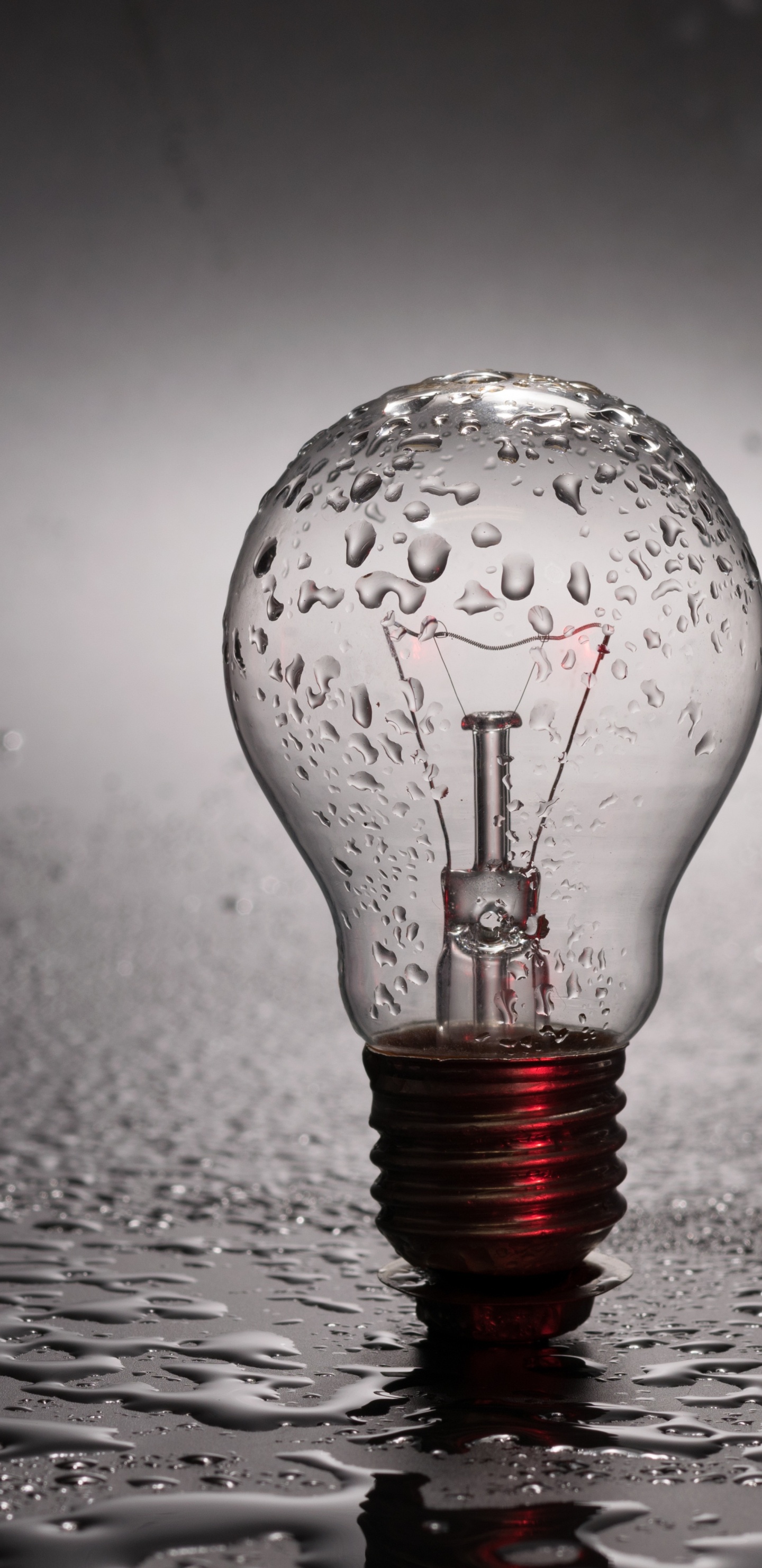 Обои электричество, вода, Лампа накаливания, свет, освещение в разрешении 1440x2960
