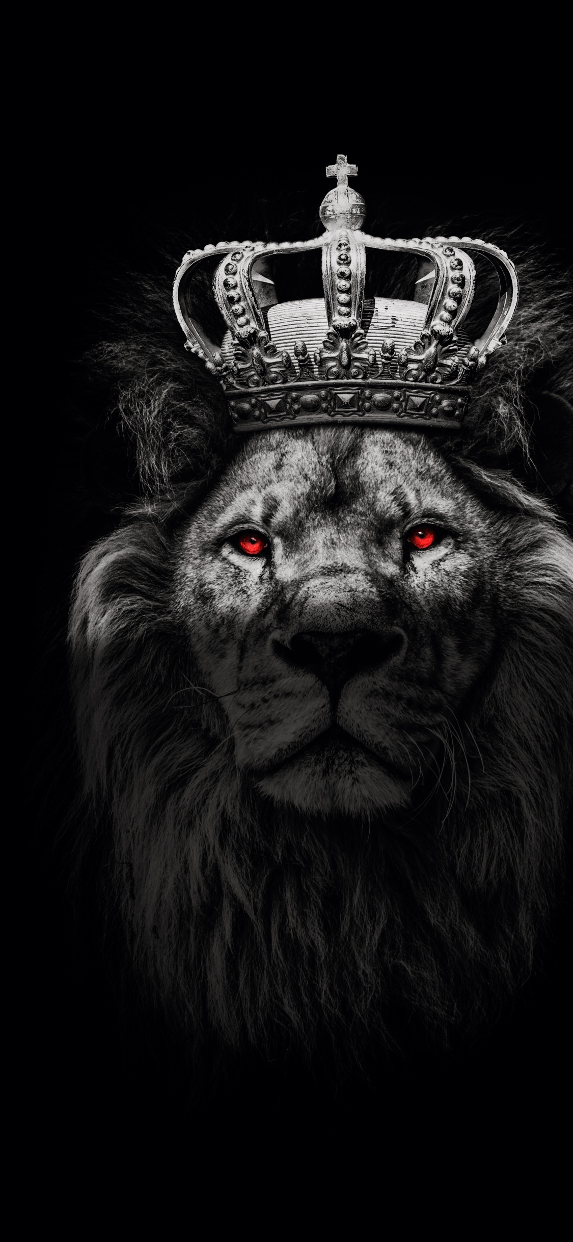 Обои рожден побеждать льва, Ханна Ар, Лев, постер, Мотивационный плакат в разрешении 1125x2436