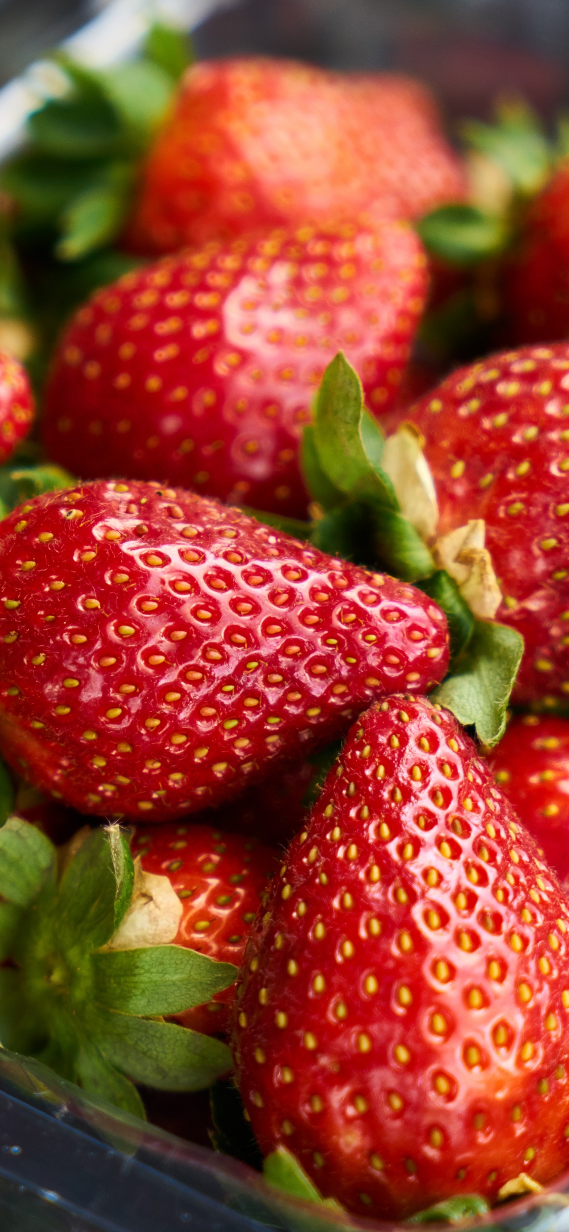 Обои клубника, ягоды, фрукты, природные продукты, пища в разрешении 1125x2436