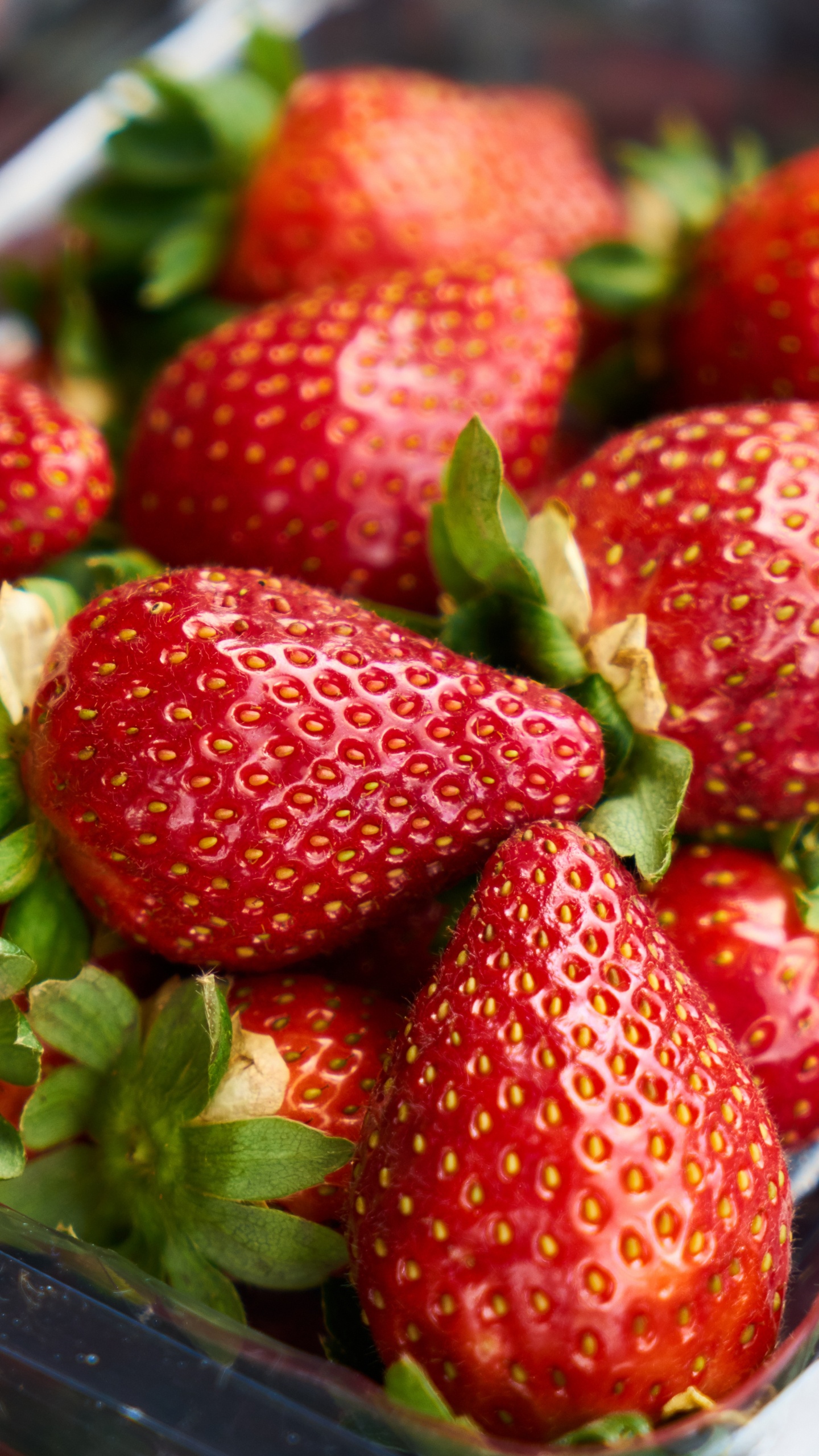 Обои клубника, ягоды, фрукты, природные продукты, пища в разрешении 1440x2560