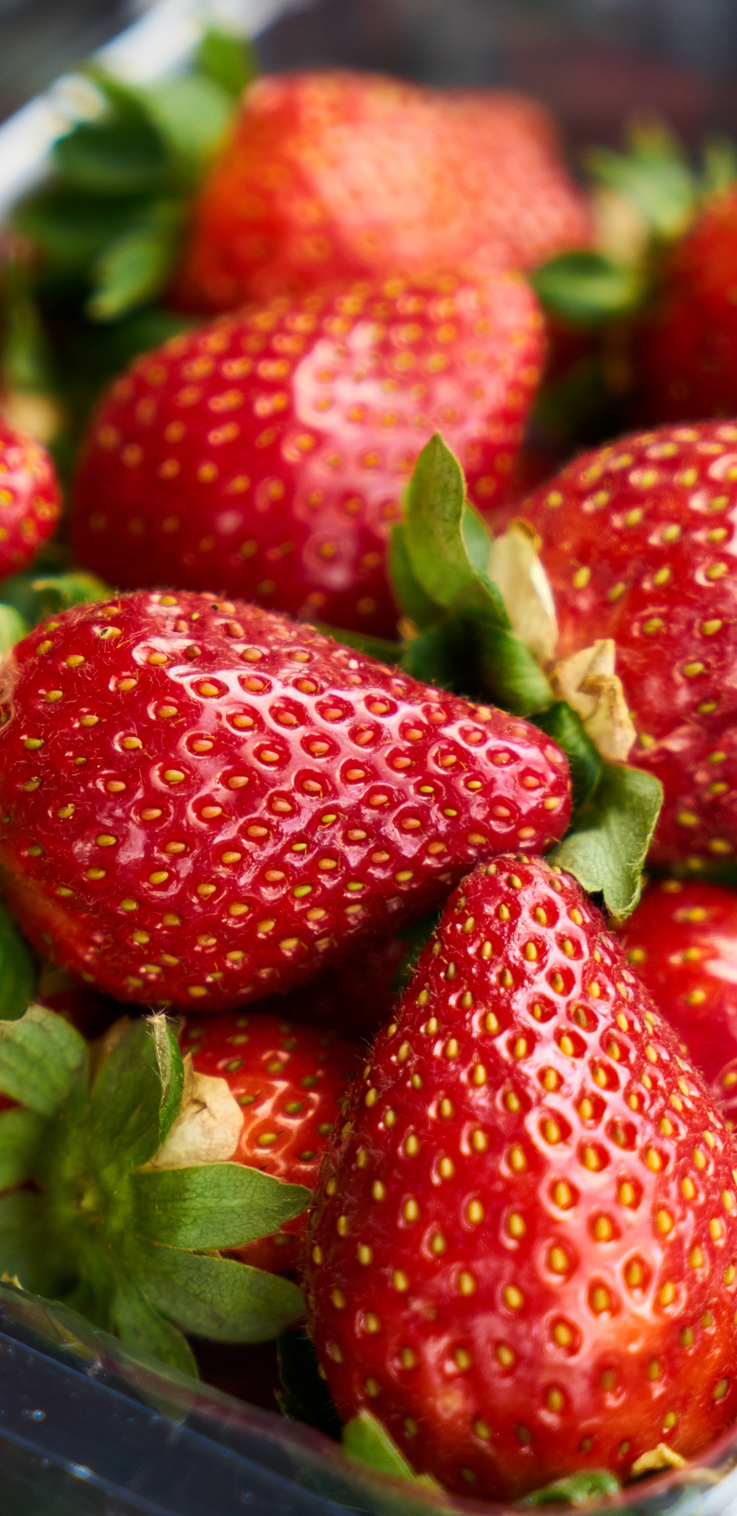 Обои клубника, ягоды, фрукты, природные продукты, пища в разрешении 1440x2960