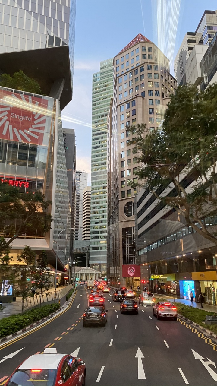 Обои Король, дорога, башня, городской район, инфраструктура в разрешении 720x1280