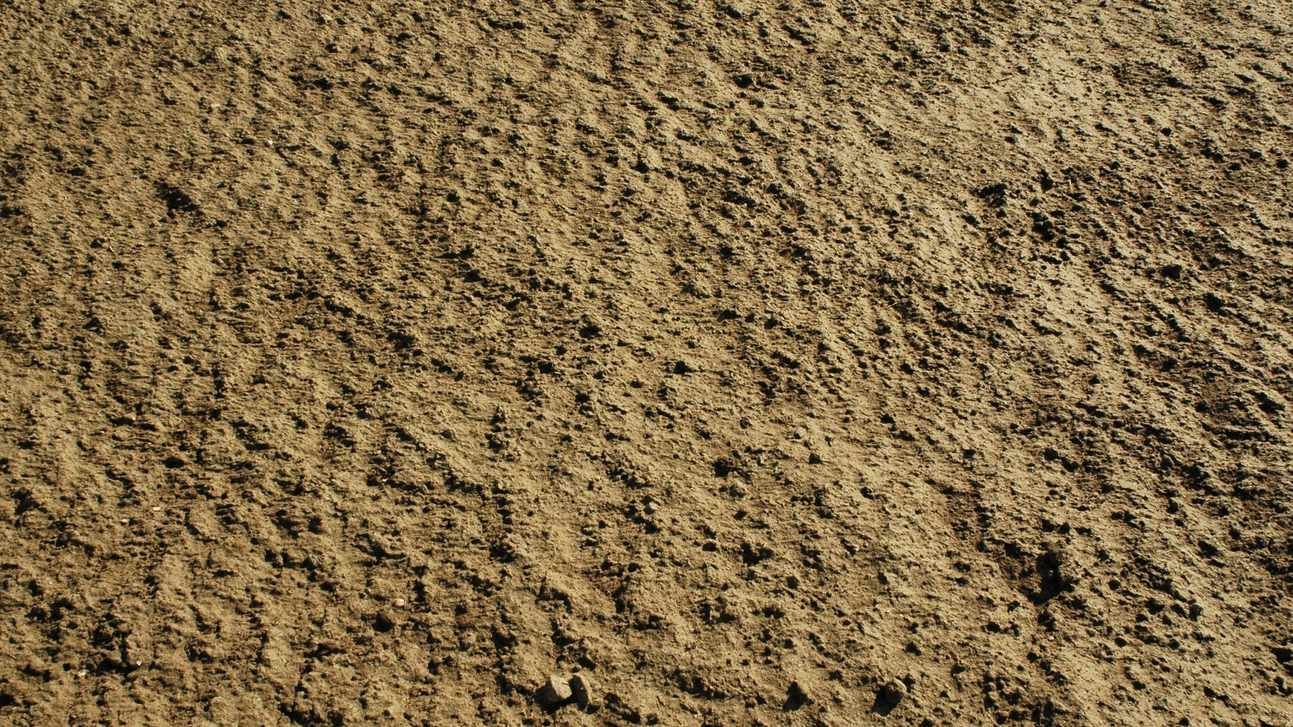 Обои земля, почва, песок, рок, текстура в разрешении 2560x1440