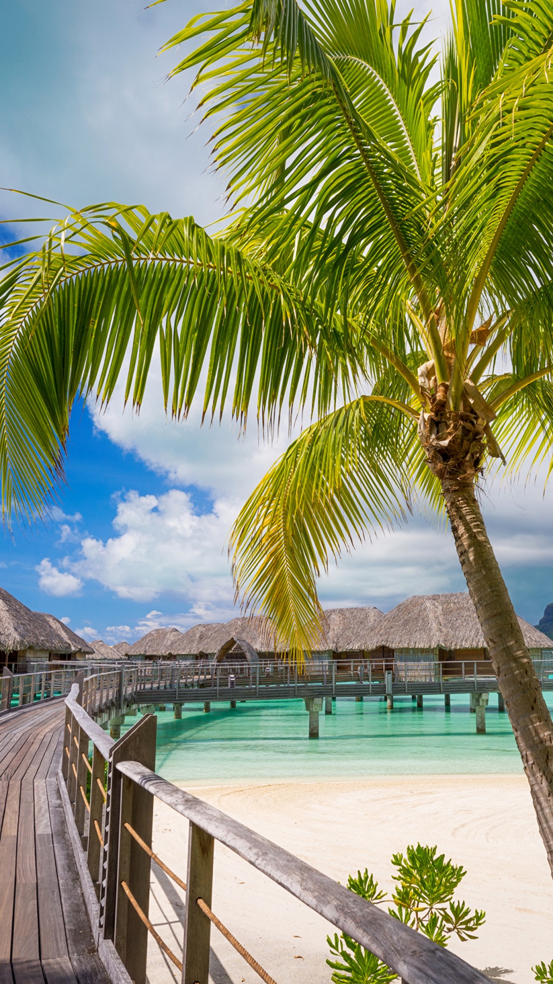 Обои борабора, Муреа, пляж, путешествие, тропическая зона в разрешении 1080x1920