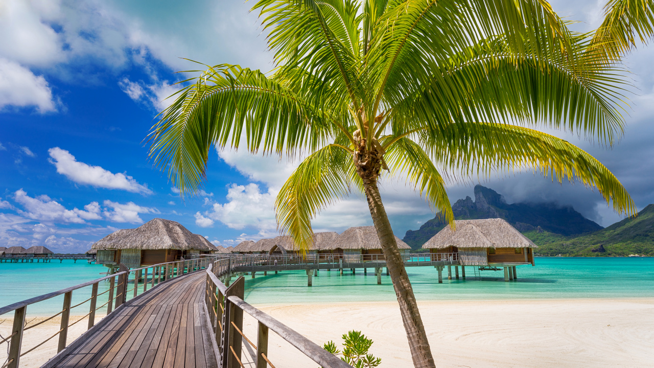 Обои борабора, Муреа, пляж, путешествие, тропическая зона в разрешении 1280x720