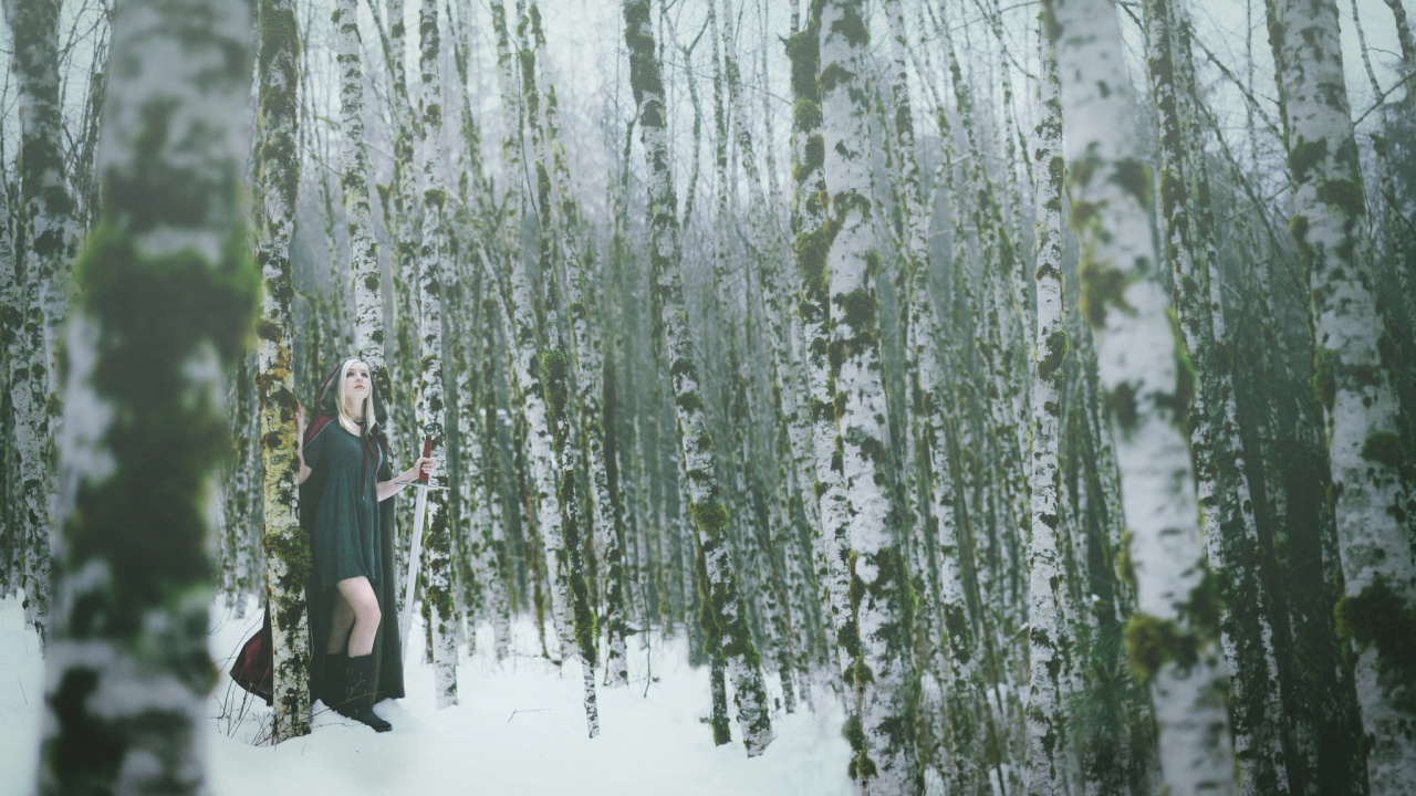 Обои вода, дерево, снег, зима, замораживание в разрешении 1280x720