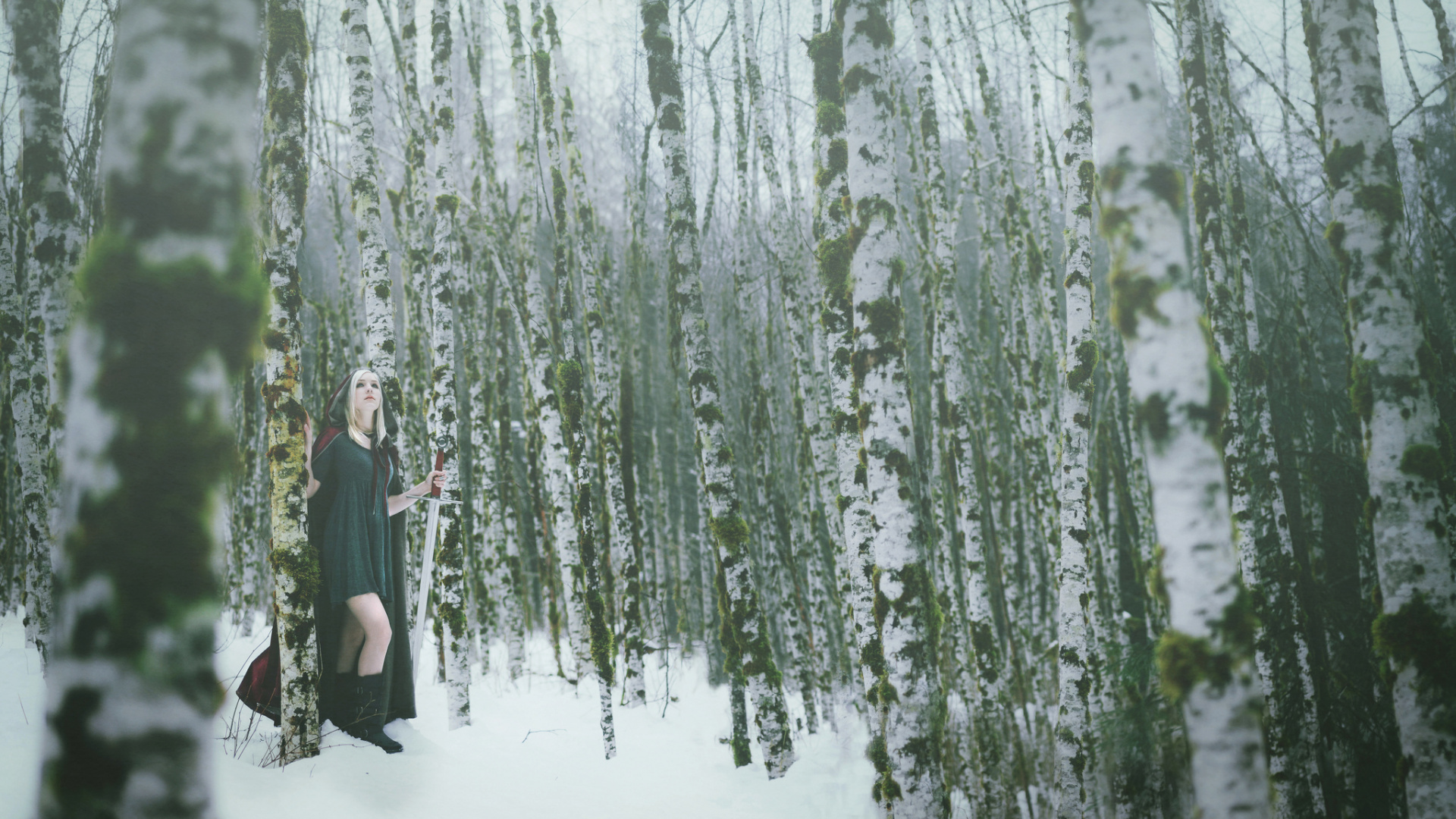 Обои вода, дерево, снег, зима, замораживание в разрешении 1920x1080