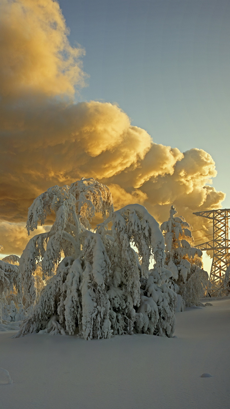 Обои сезон, зима, природа, снег, замораживание в разрешении 750x1334