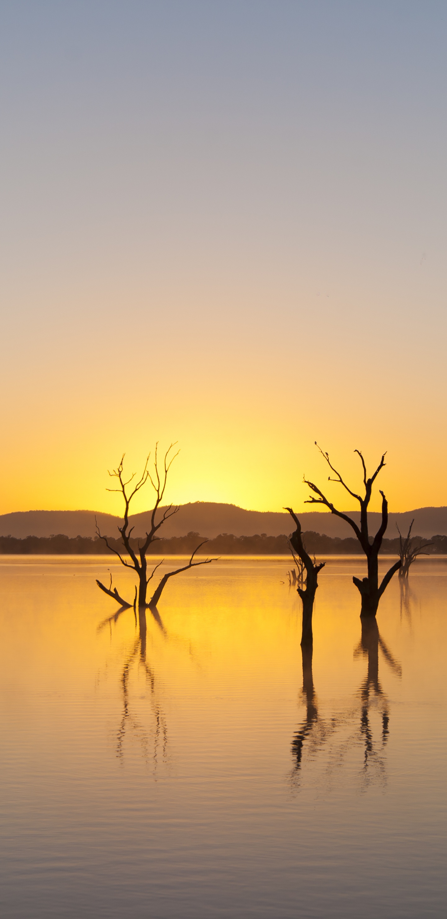 Обои Национальный Парк Грампианс, парк, национальный парк, гора, пейзаж в разрешении 1440x2960